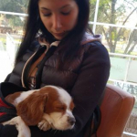 Selda