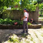 Koray