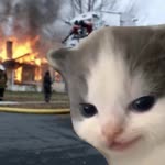 Sultan