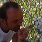 Serdar