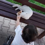 Çağla