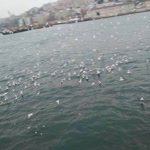 Fatih