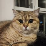 Serhat