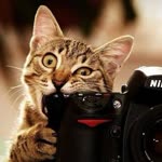 Enes
