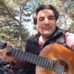 Doğan