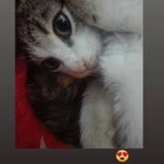 Esma