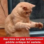 Muhammed
