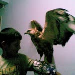 Burak