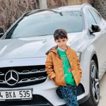 Sibel