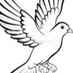 Fikret