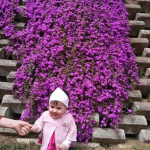 Emir