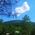 Tülin