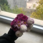 Başak