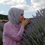 Dilek
