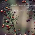Ebru