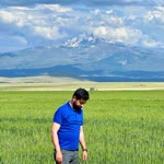 Barış