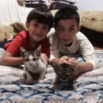 Özcan