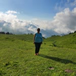 Meral