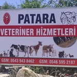 Tolga