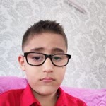 Sahin