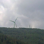 Yasın