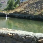 Arif