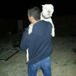 Bedrettin