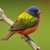 profile-icon