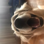 Semra