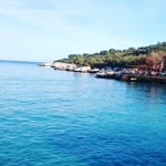 Erdi