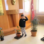 Burcu