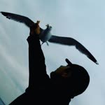 Tolga