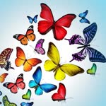 Hatice