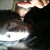 profile-icon