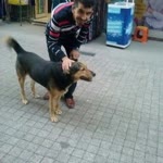 Erdal