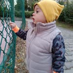 Ferit