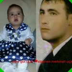 Alper