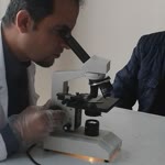 Bülent