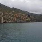 Murat