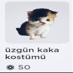 Taha