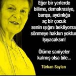 Araz
