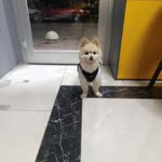 Emir