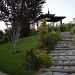 Gül
