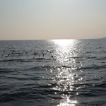 Yilmaz