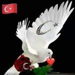 Salih