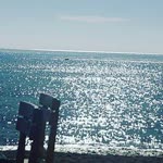 Sakine