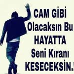 Şükrü