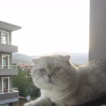 İlker