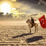 Halil