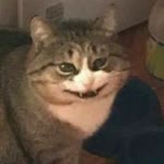 Betül